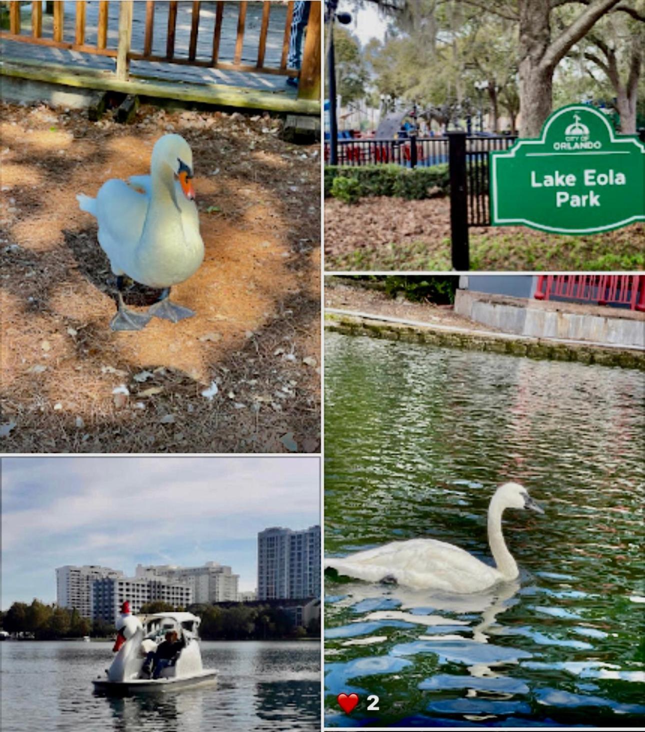 Happy Place Orlando Exterior foto